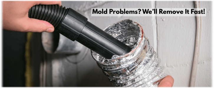 Air Duct Mold Removal in Manhattan