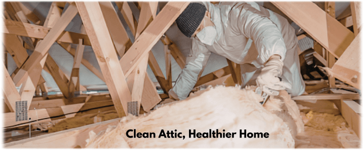 Attic Cleaning Manhattan