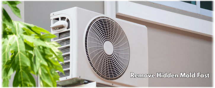 HVAC Mold Removal Manhattan